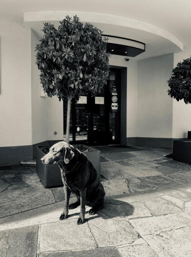 Hotel Murten Esterno foto
